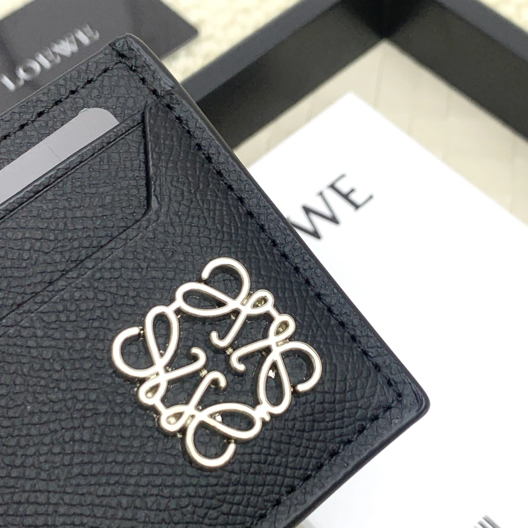 LOEWE Card Case GoAnywhere 484