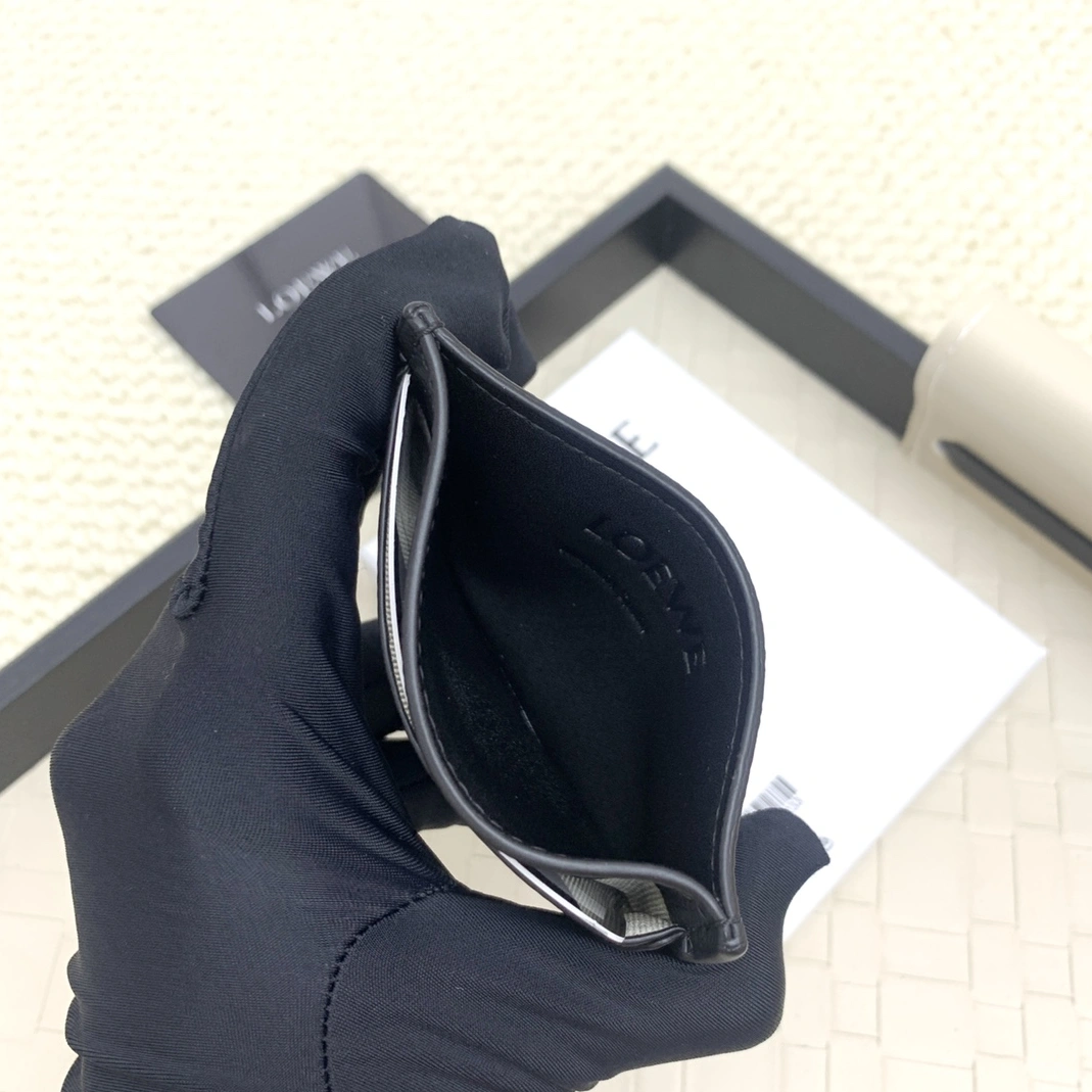 LOEWE Card Case GoAnywhere 484