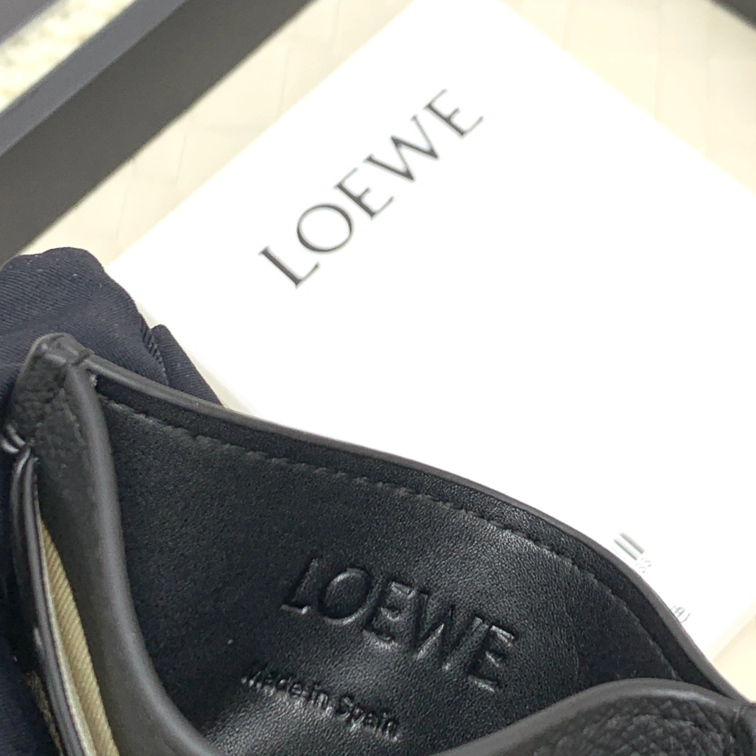 LOEWE Card Case GoAnywhere 484