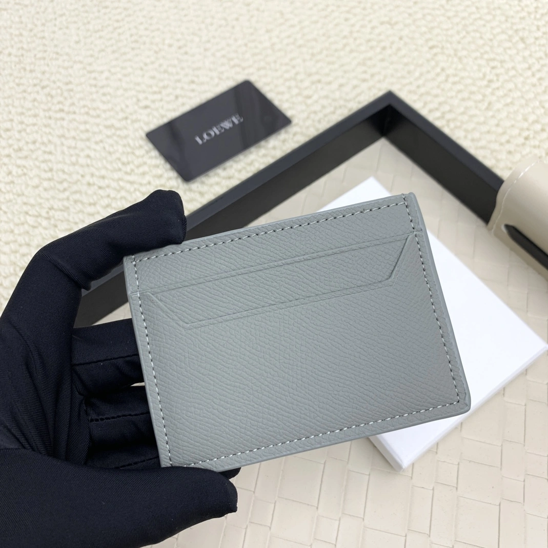 LOEWE Card Case Unique 9880