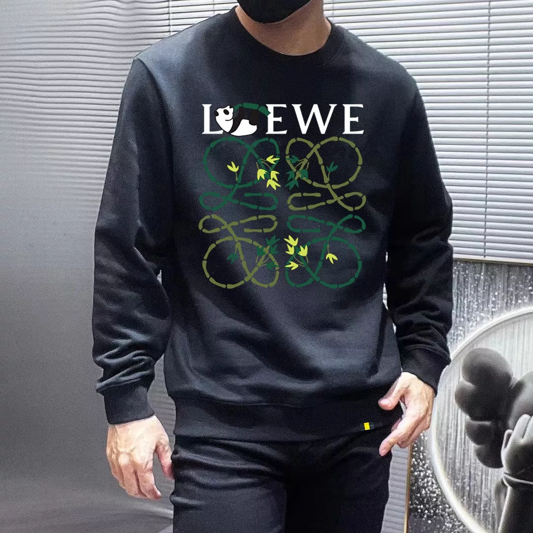 LOEWE Hoodies Long Sleeved For Men Bold 2316