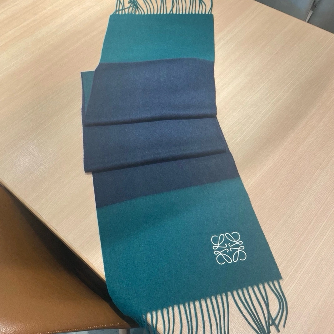 LOEWE Scarf Elegant 1876