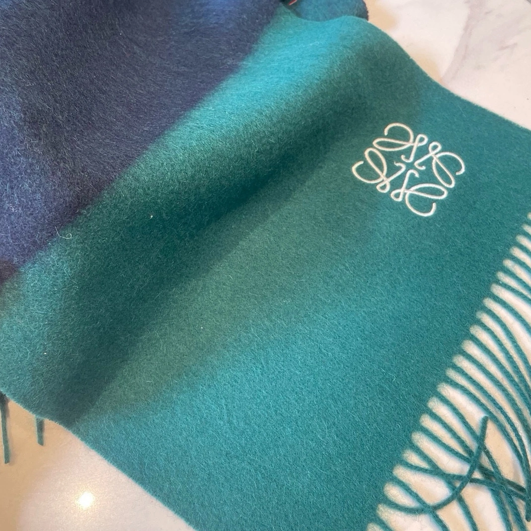 LOEWE Scarf Elegant 1876