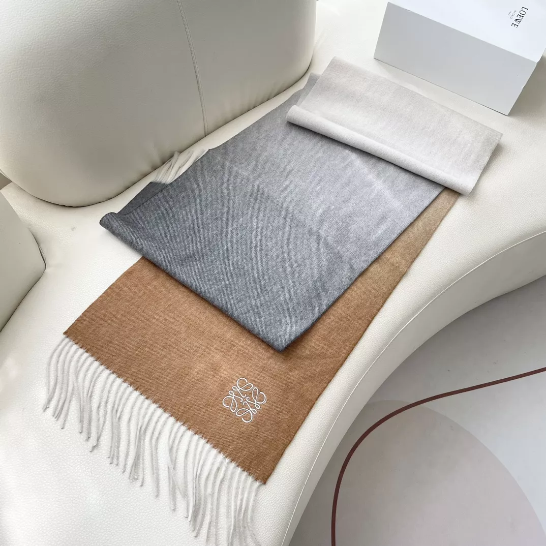 LOEWE Scarf For Women EyeCatching 8488