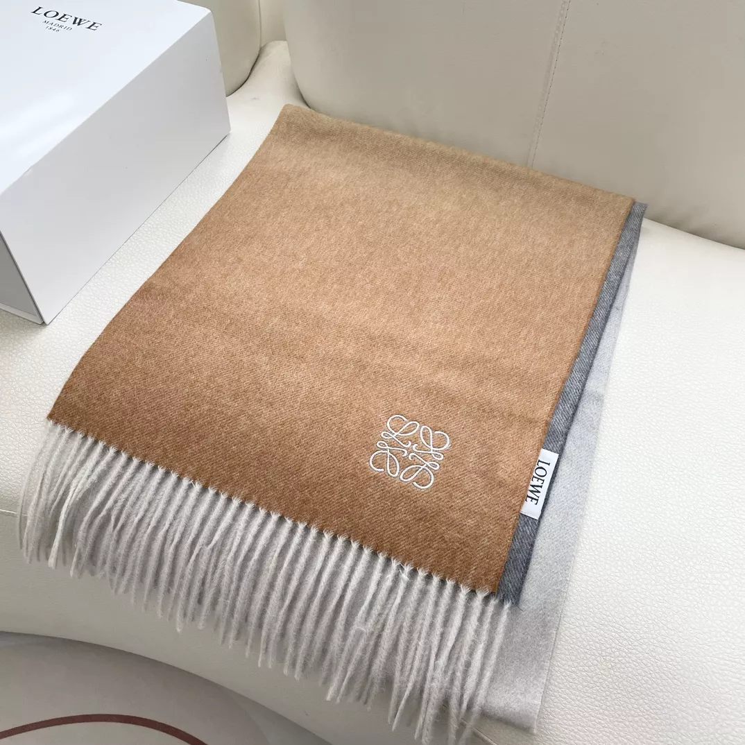 LOEWE Scarf For Women EyeCatching 8488