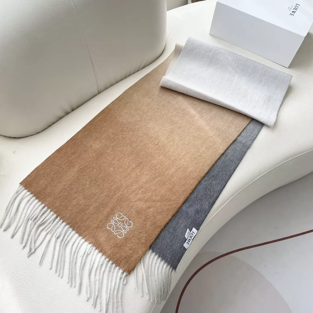 LOEWE Scarf For Women EyeCatching 8488