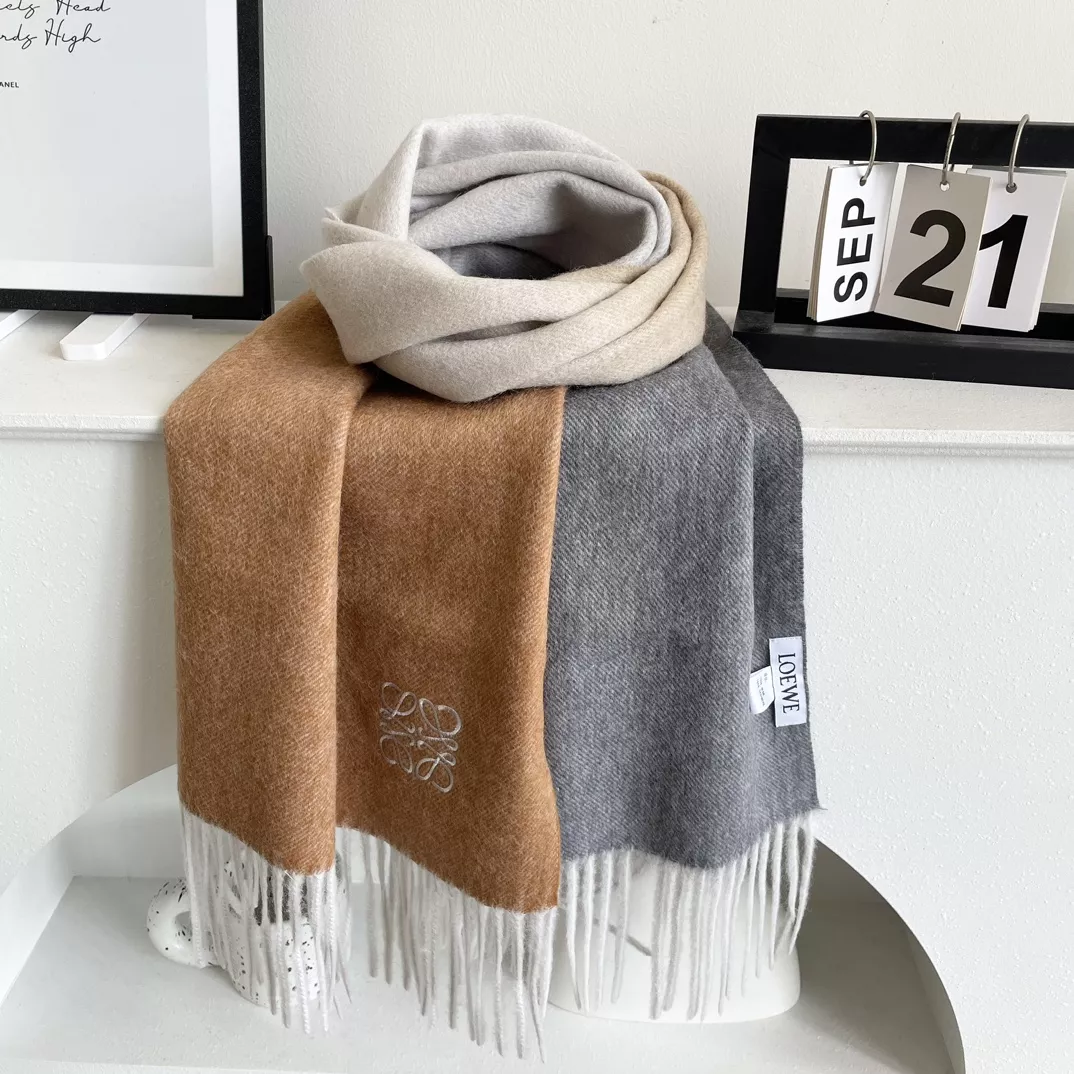 LOEWE Scarf For Women EyeCatching 8488