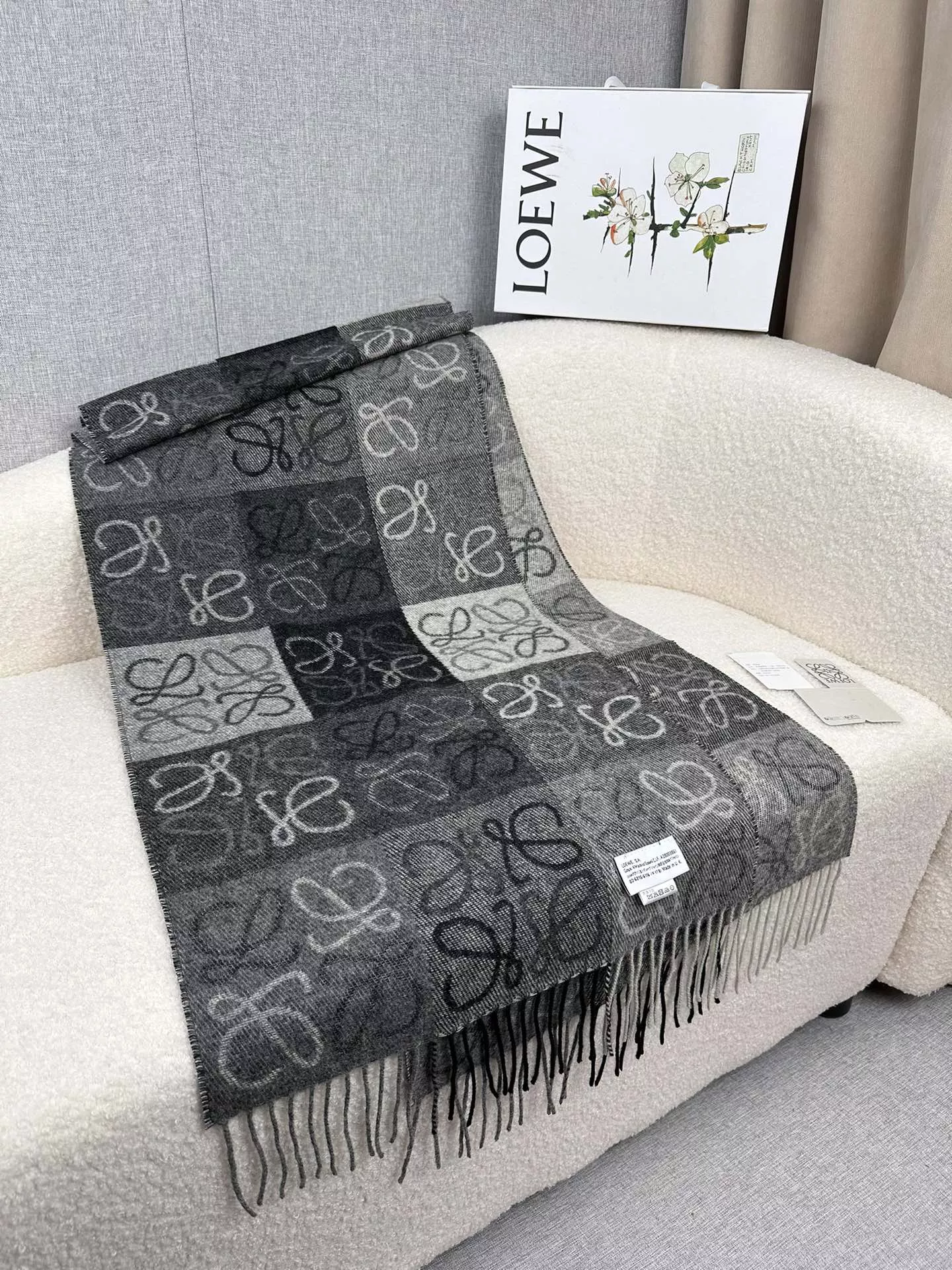 LOEWE Scarf For Women Lightweight 5694
