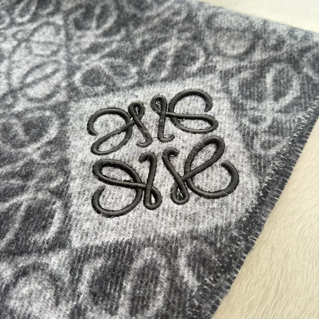 LOEWE Scarf For Women Unique 4494