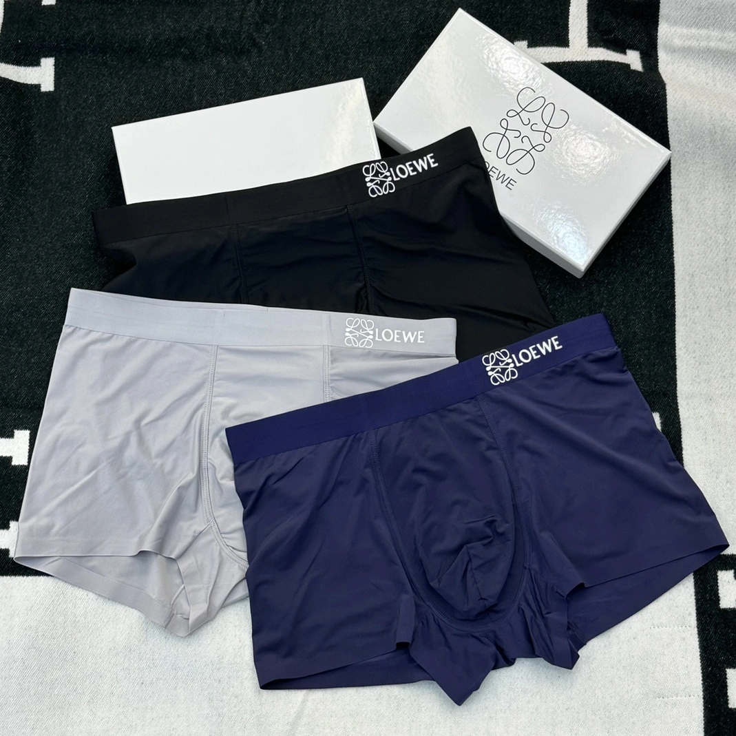 LOEWE Underwears For Men Compact 8269