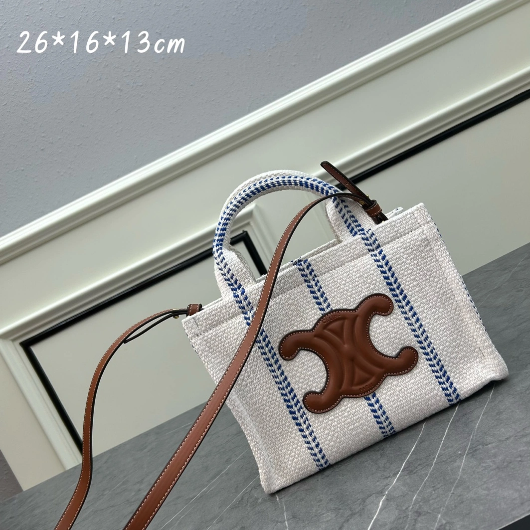 Lightweight 4547 Celine AAA Quality Handbags For Women