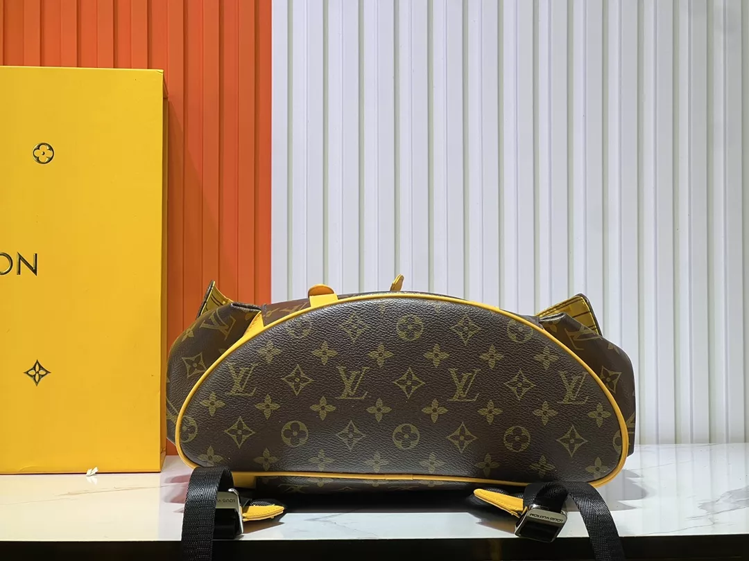 Louis Vuitton AAA Quality Backpacks For Unisex Bold 2665