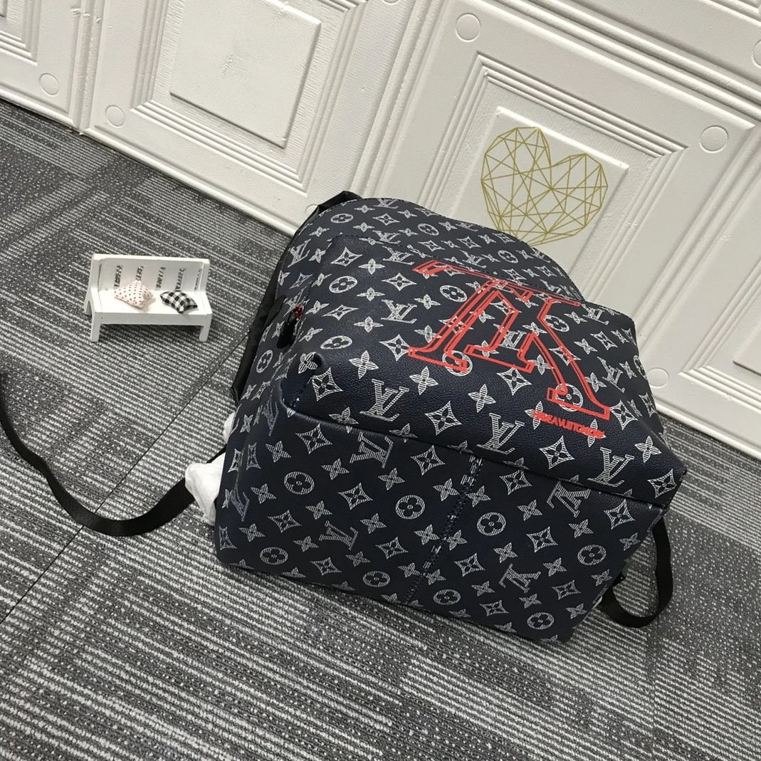 Louis Vuitton AAA Quality Backpacks For Unisex Bold 4554