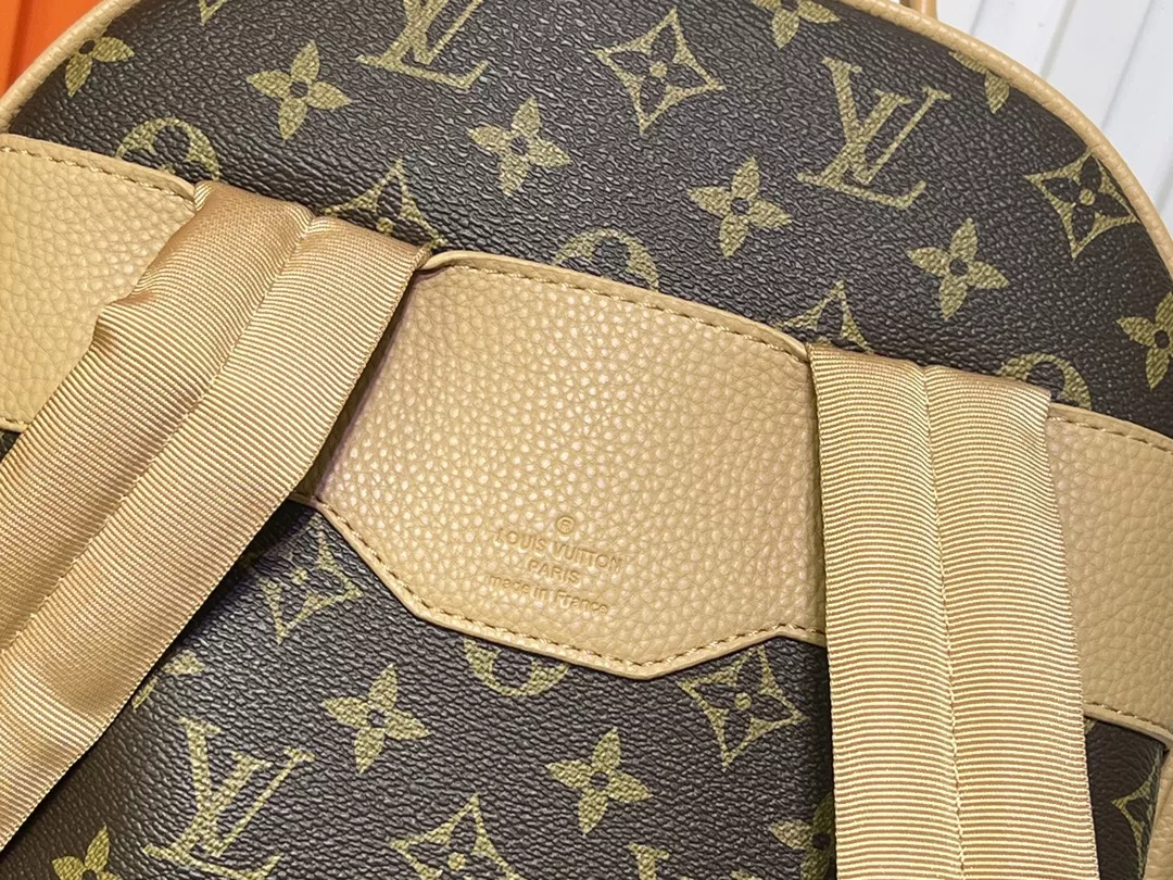 Louis Vuitton AAA Quality Backpacks For Unisex Fashionable 8730