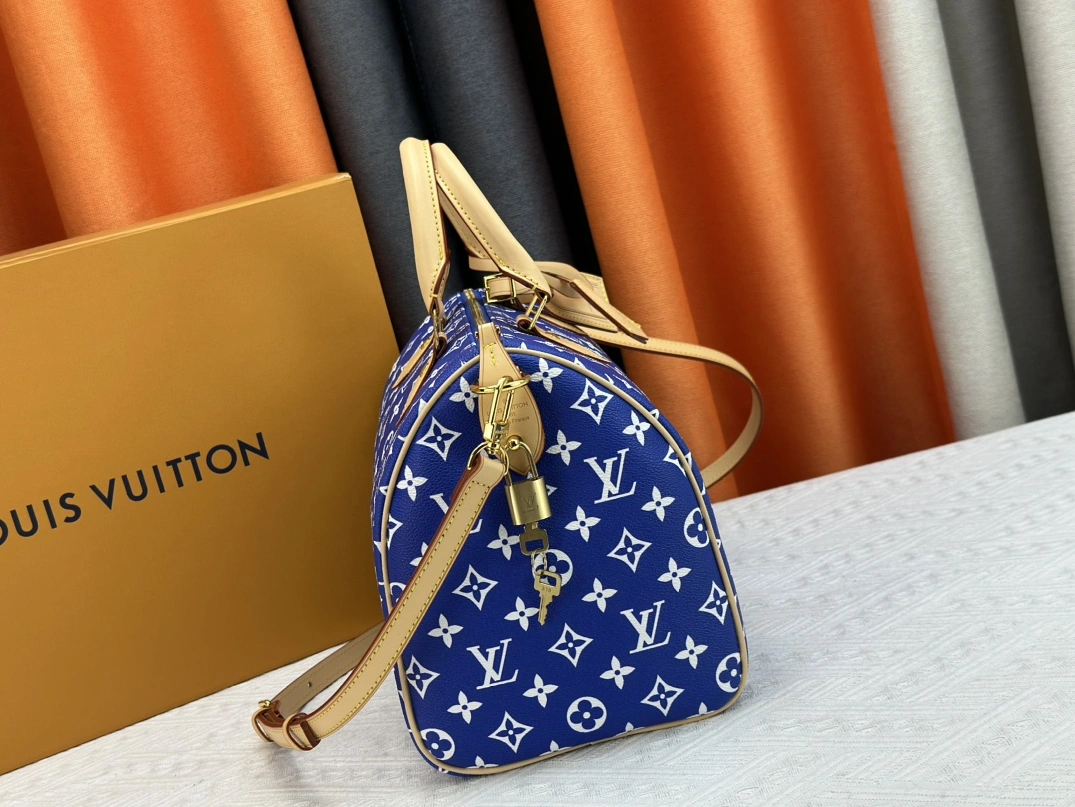 Louis Vuitton AAA Quality Handbags For Women Bold 6844