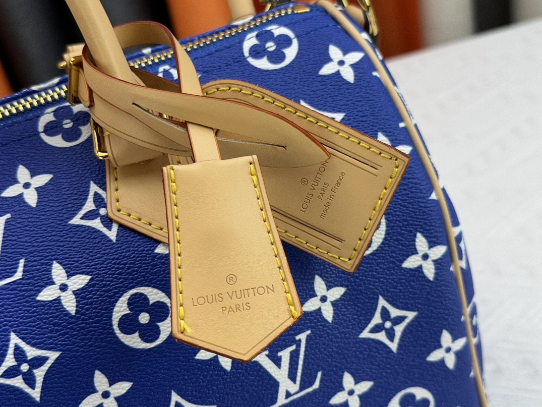 Louis Vuitton AAA Quality Handbags For Women Bold 6844