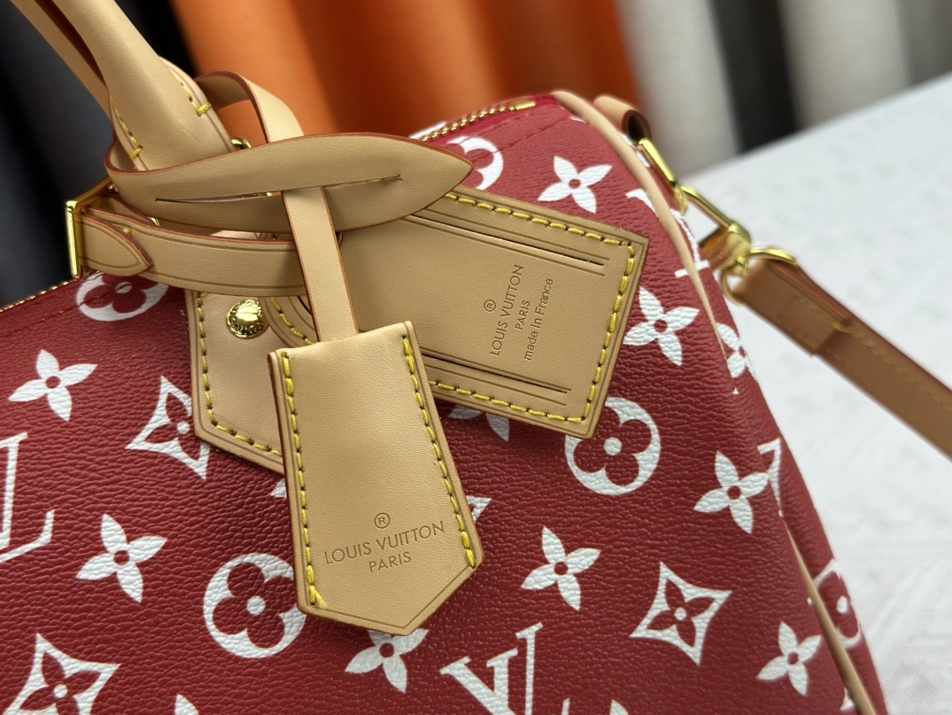Louis Vuitton AAA Quality Handbags For Women Breathable 4369