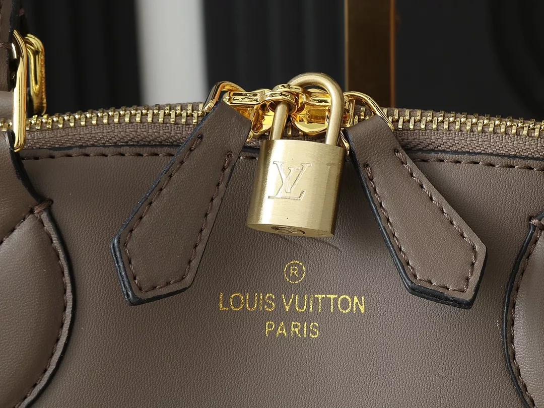 Louis Vuitton AAA Quality Handbags For Women Bright 3324