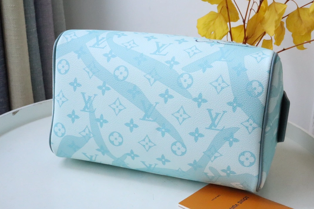 Louis Vuitton AAA Quality Handbags For Women Durable 1904