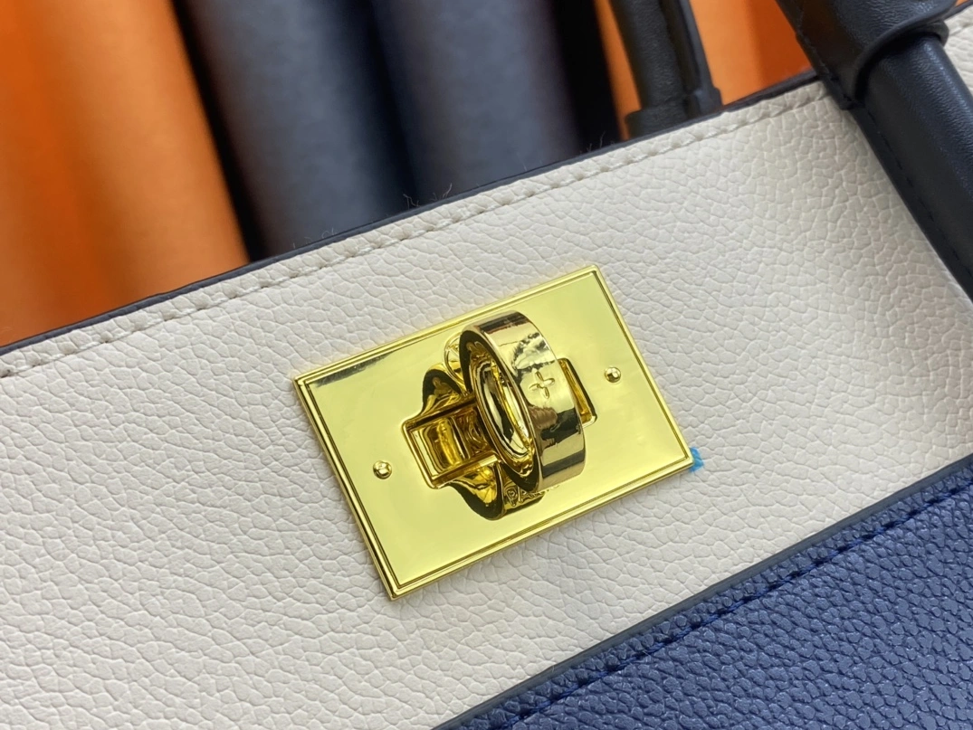 Louis Vuitton AAA Quality Handbags For Women EasyMatch 349