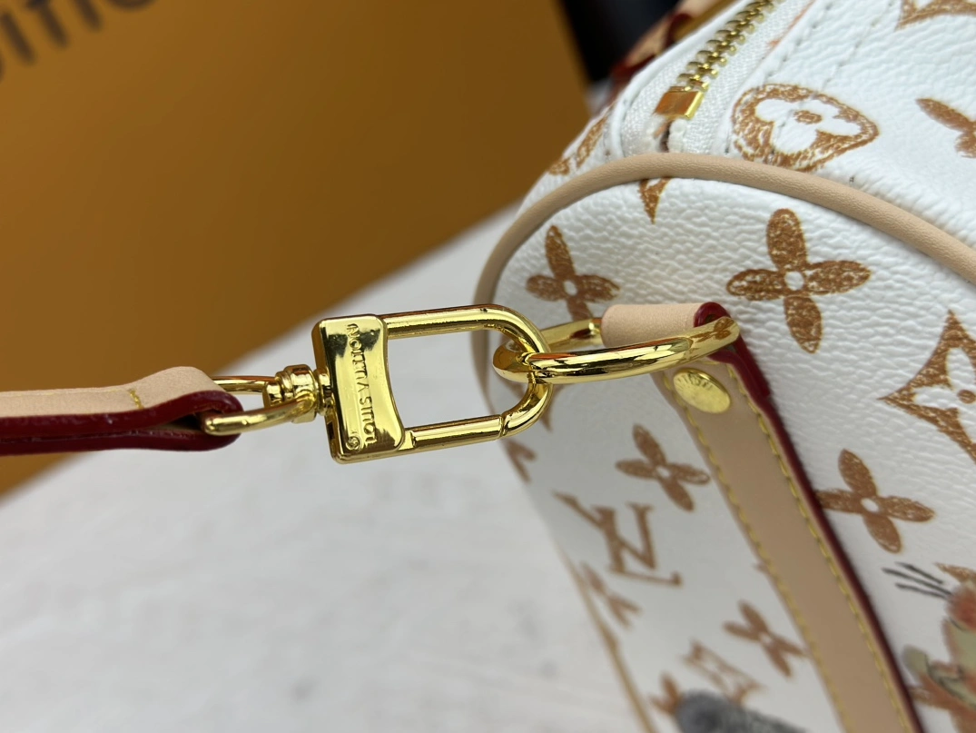 Louis Vuitton AAA Quality Handbags For Women EasyMatch 5184
