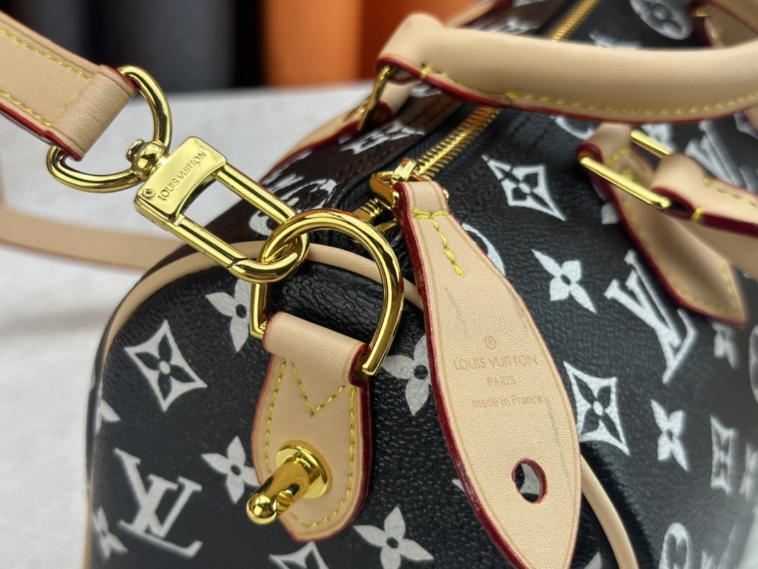 Louis Vuitton AAA Quality Handbags For Women Elegant 1747