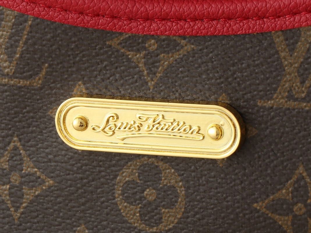 Louis Vuitton AAA Quality Handbags For Women GoAnywhere 6321