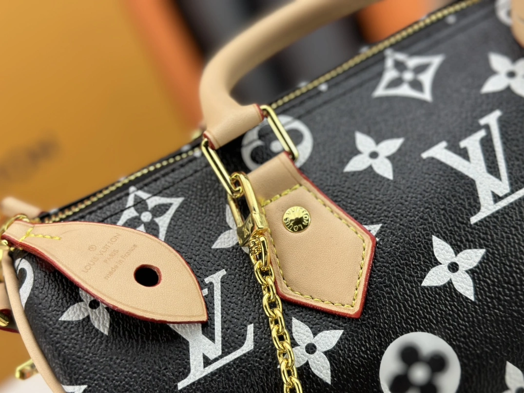 Louis Vuitton AAA Quality Handbags For Women GoAnywhere 9695