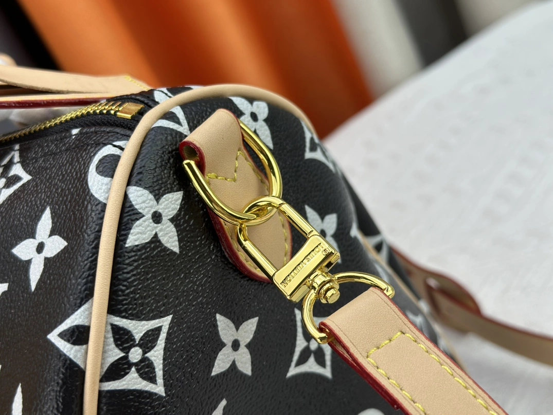 Louis Vuitton AAA Quality Handbags For Women GoAnywhere 9695