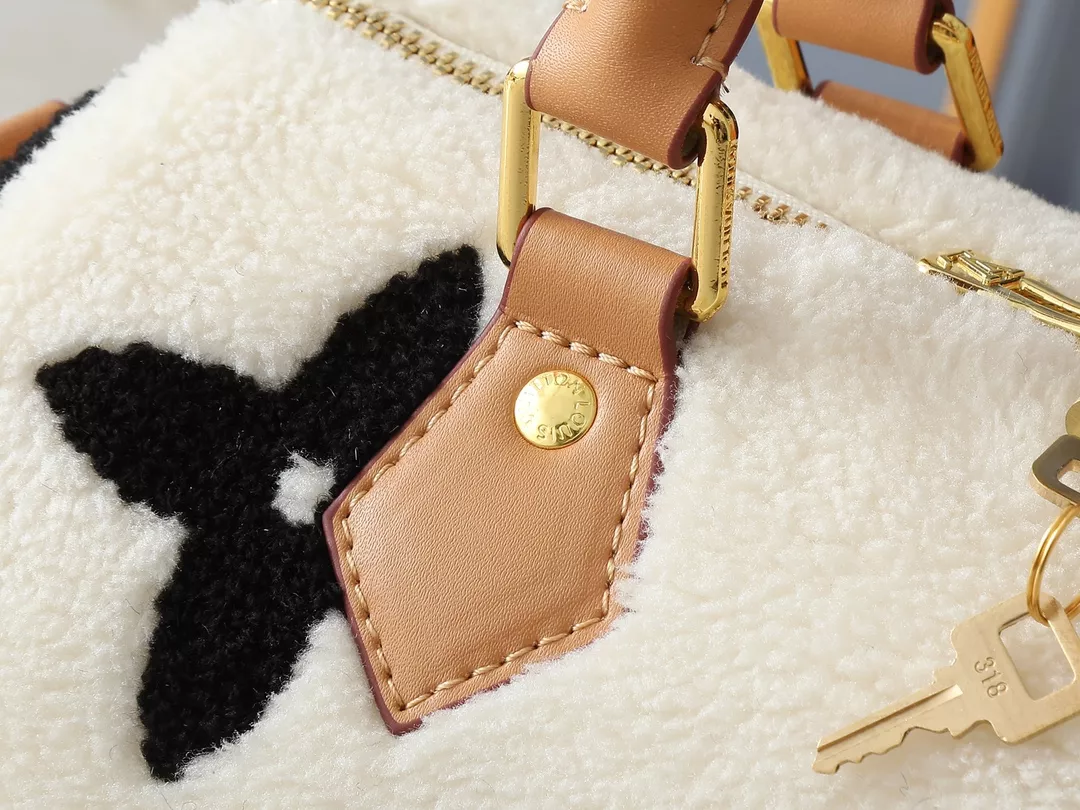 Louis Vuitton AAA Quality Handbags For Women Modern 6994