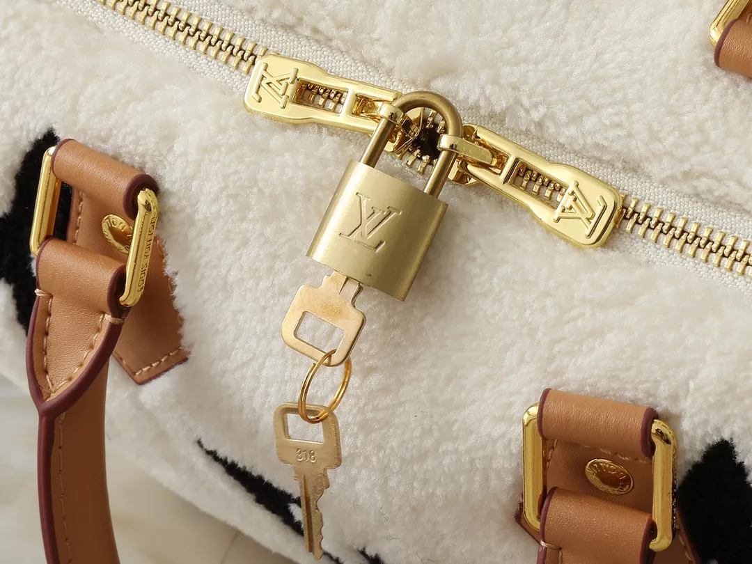 Louis Vuitton AAA Quality Handbags For Women Modern 6994