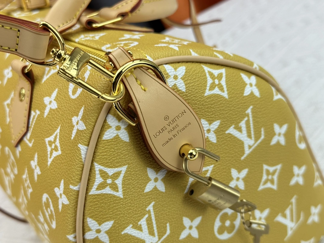 Louis Vuitton AAA Quality Handbags For Women Modern 753