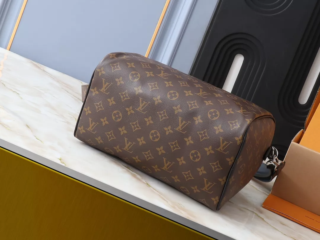 Louis Vuitton AAA Quality Handbags For Women Popular 3757
