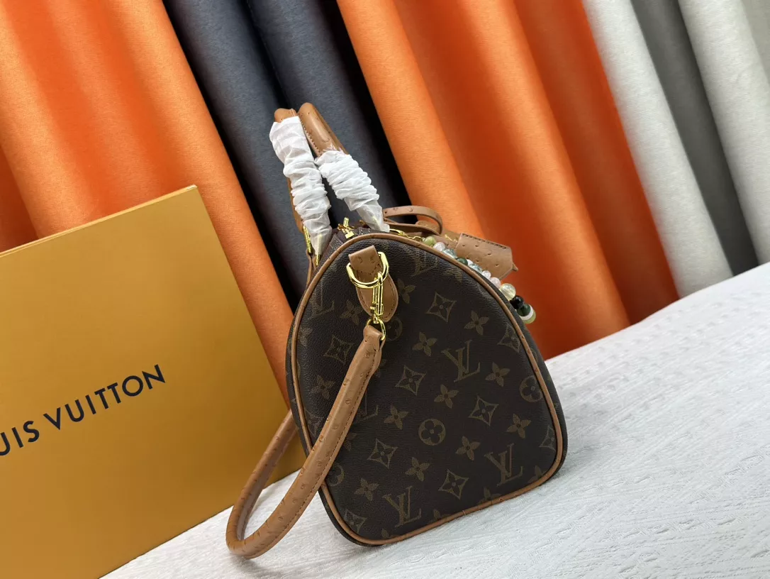 Louis Vuitton AAA Quality Handbags For Women SmartChoice 6032