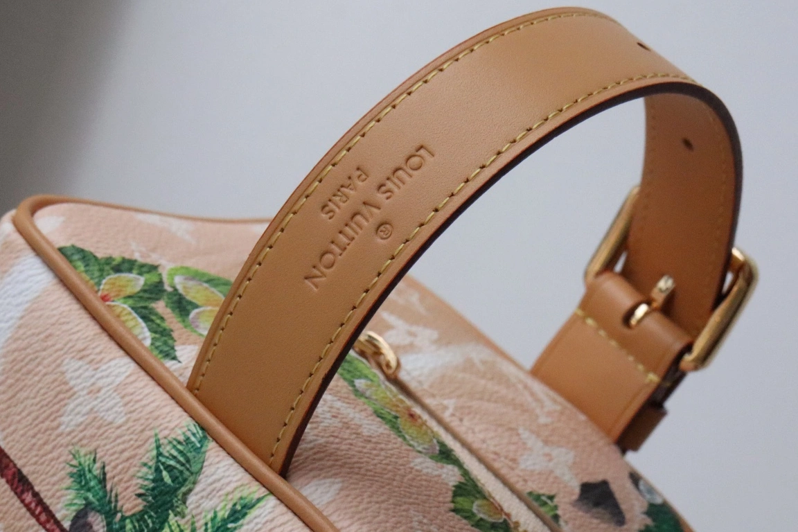 Louis Vuitton AAA Quality Handbags For Women Trendy 2538