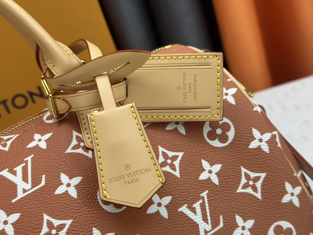 Louis Vuitton AAA Quality Handbags For Women Versatile 5332