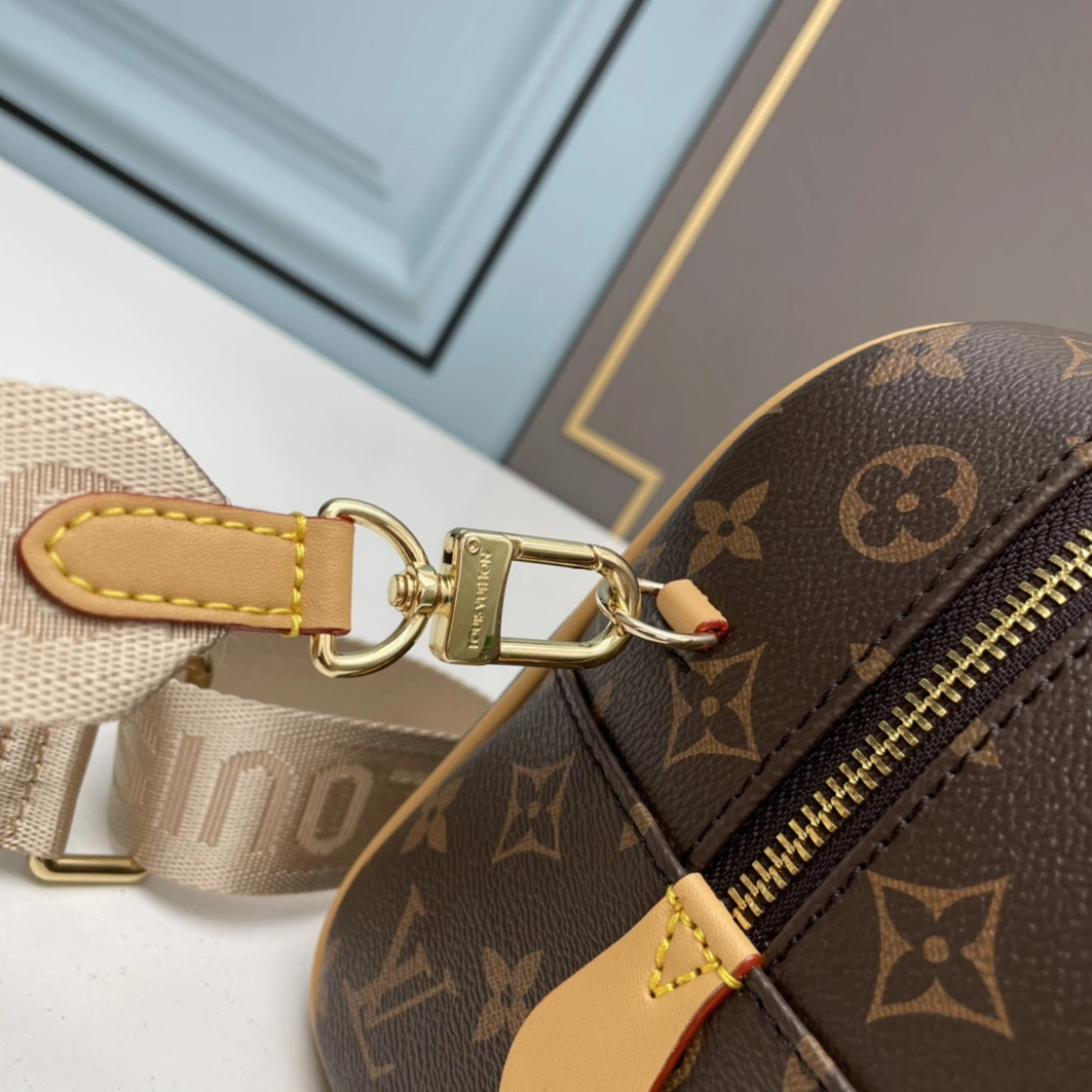 Louis Vuitton AAA Quality Handbags For Women Vibrant 7422