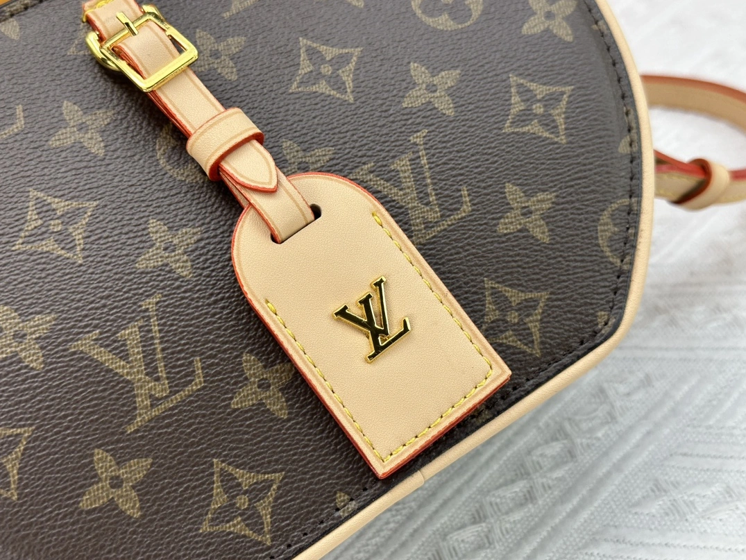 Louis Vuitton AAA Quality Messenger Bags For Women Stylish 4825