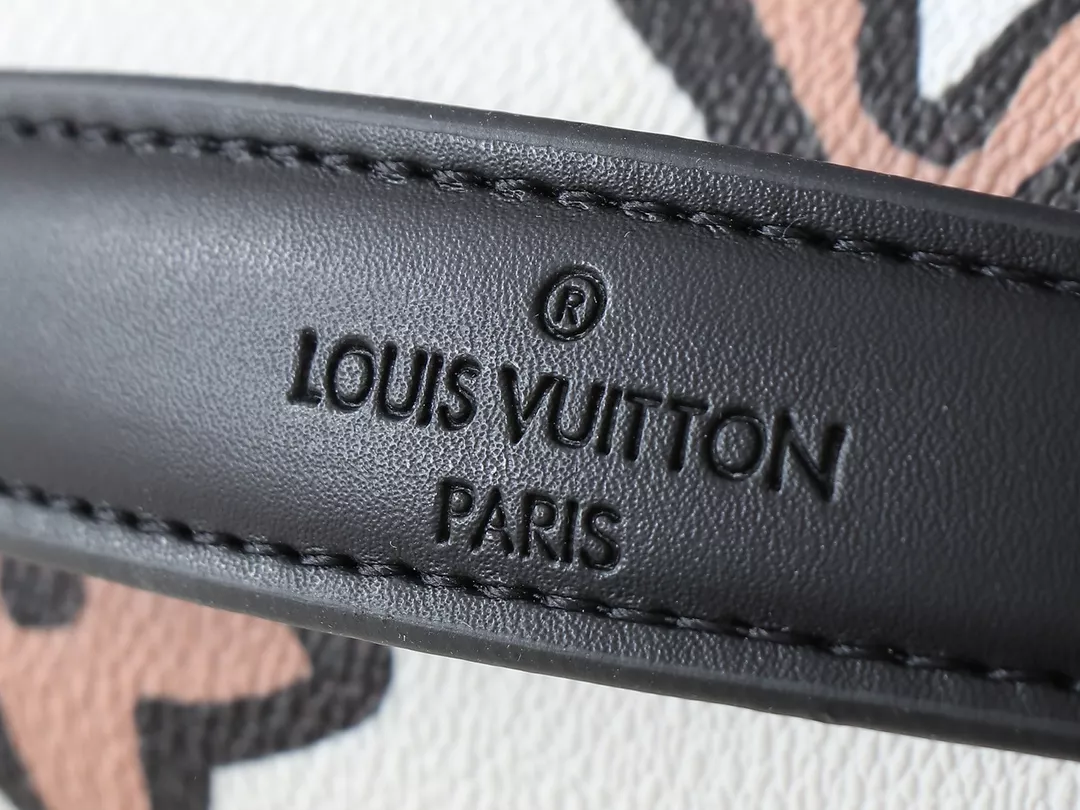 Louis Vuitton AAA Quality Messenger Bags For Women Trendsetting 4237