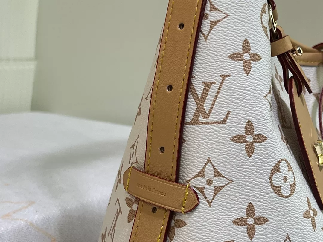 Louis Vuitton AAA Quality Shoulder Bags For Women Soft 6000