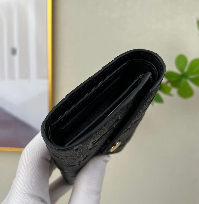 Louis Vuitton AAA Quality Wallets For Women GoodFit 2912