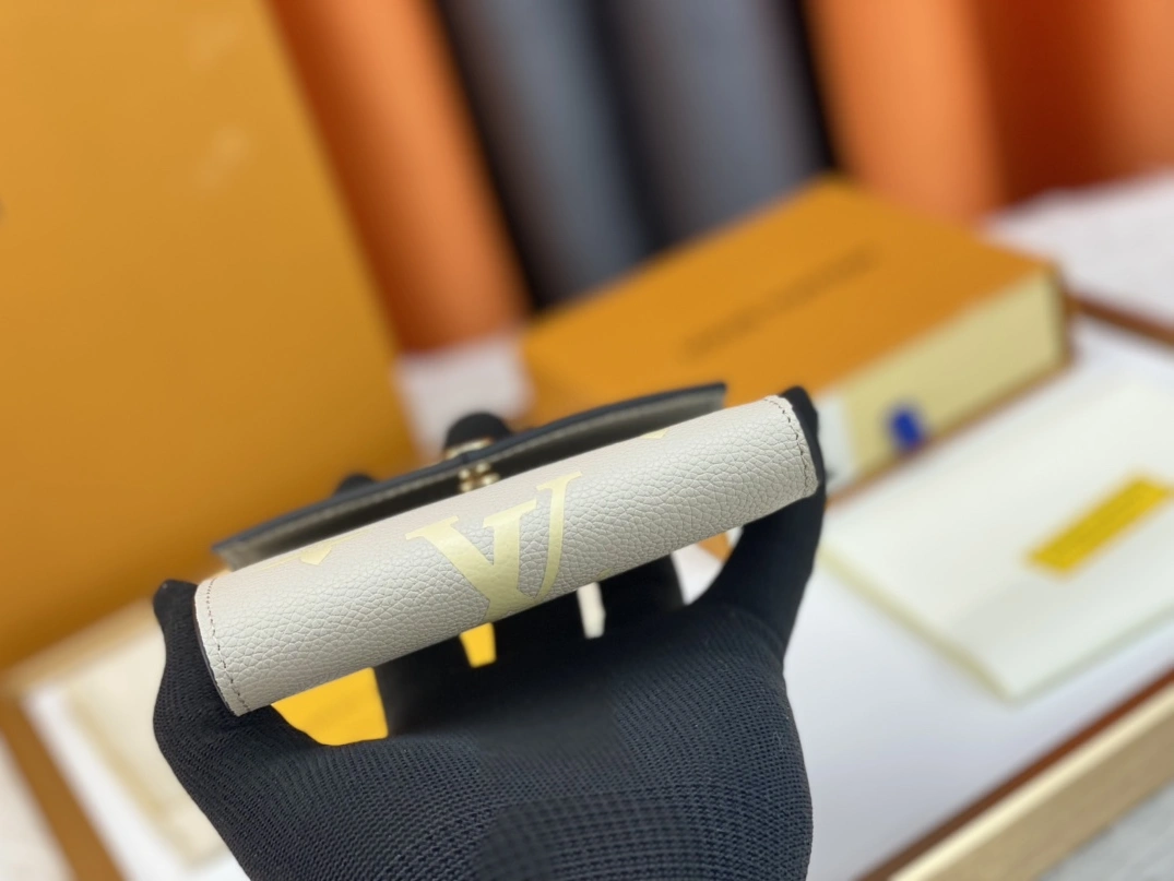 Louis Vuitton AAA Quality Wallets GoAnywhere 4257