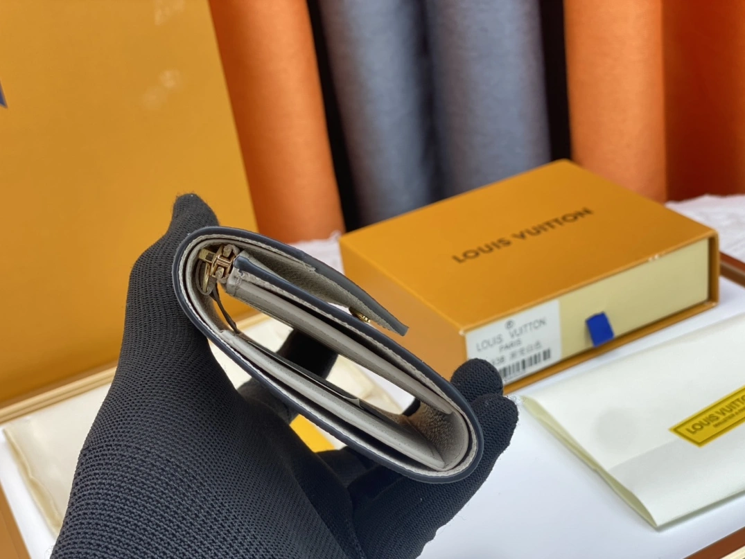 Louis Vuitton AAA Quality Wallets GoAnywhere 4257