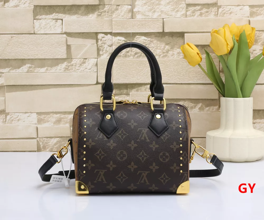 Louis Vuitton HandBags For Women Practical 1752
