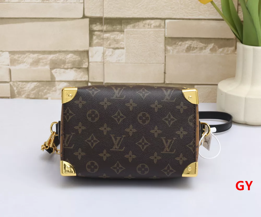 Louis Vuitton HandBags For Women Practical 1752