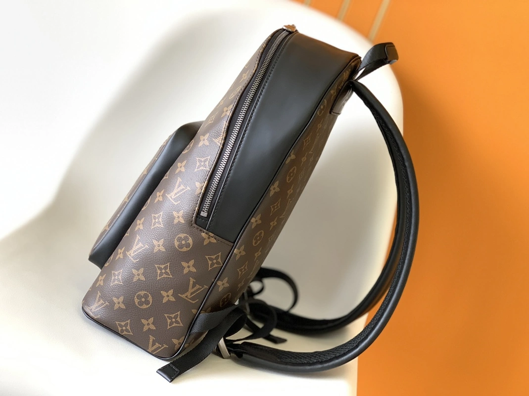 Louis Vuitton LV AAA Man Backpacks AllSeason 5953