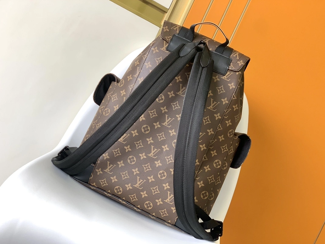 Louis Vuitton LV AAA Man Backpacks Cozy 3190