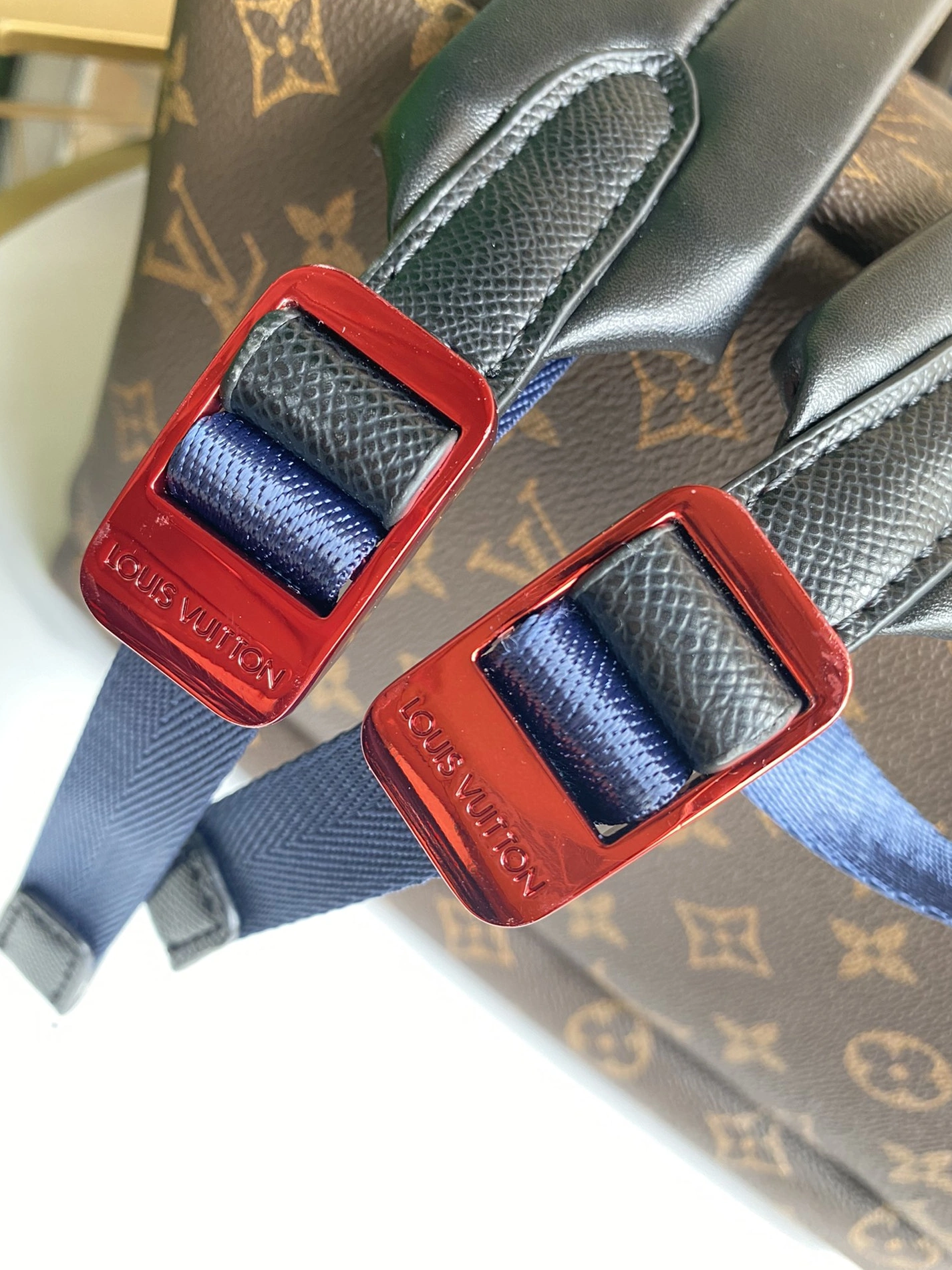 Louis Vuitton LV AAA Man Backpacks GoAnywhere 5924