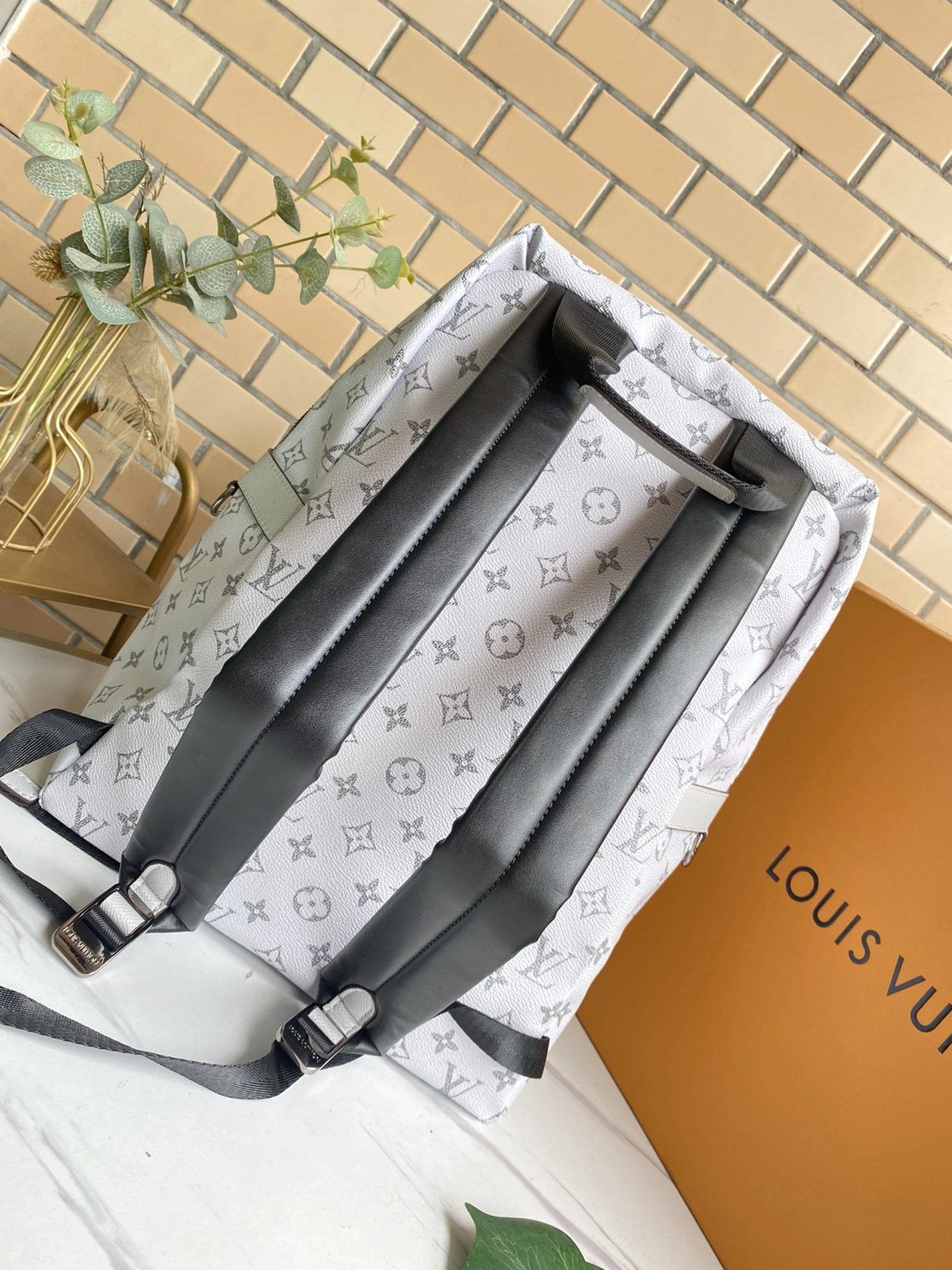 Louis Vuitton LV AAA Man Backpacks Minimalist 6965