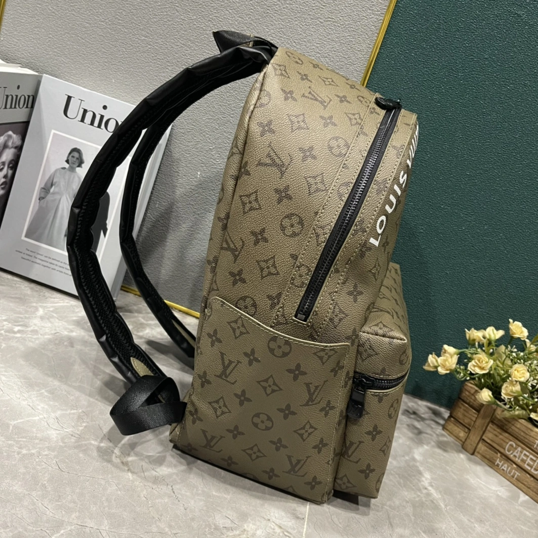 Louis Vuitton LV AAA Man Backpacks Practical 2581